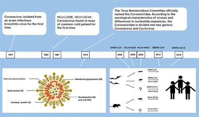 Recent advances in immunoassay technologies for the detection of human coronavirus infections